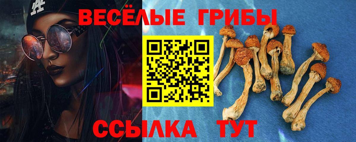Богданович  Псилоцибиновые грибы Psilocybine cubensis  магазин продажи   Вход с VPN  Псилоцибиновые грибы GOLDEN TEACHER 